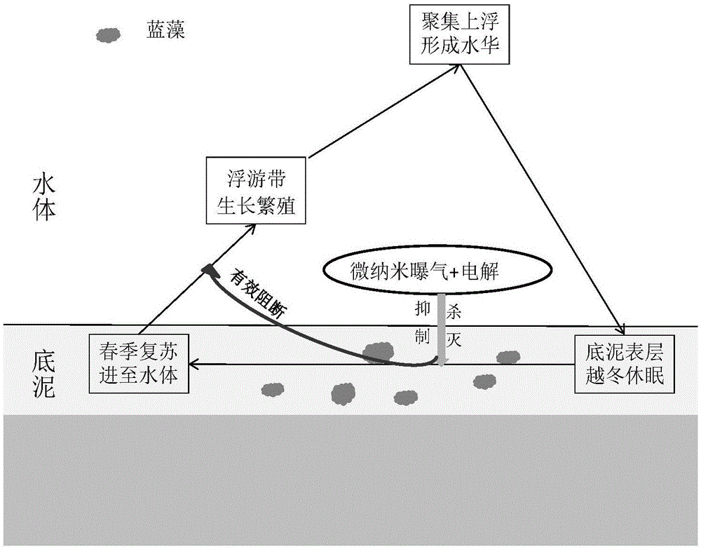 ‘亚博娱乐’曼联爆料!巴黎盯上德赫亚 为他开出6000万的天价合同(图1) 亚博体育