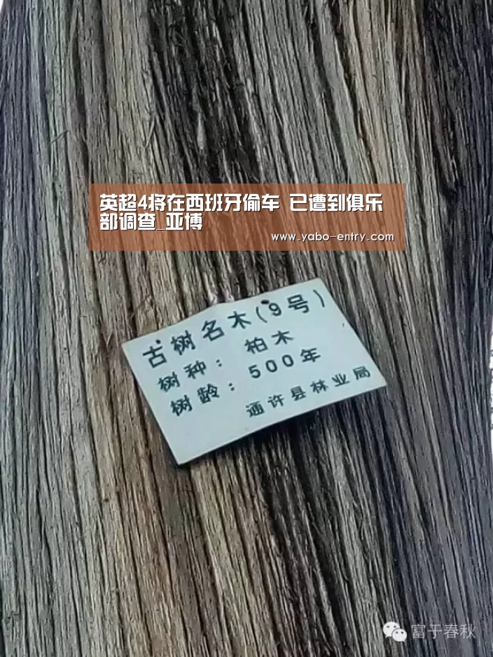 英超4将在西班牙偷车 已遭到俱乐部调查_亚博(图2) 亚博娱乐