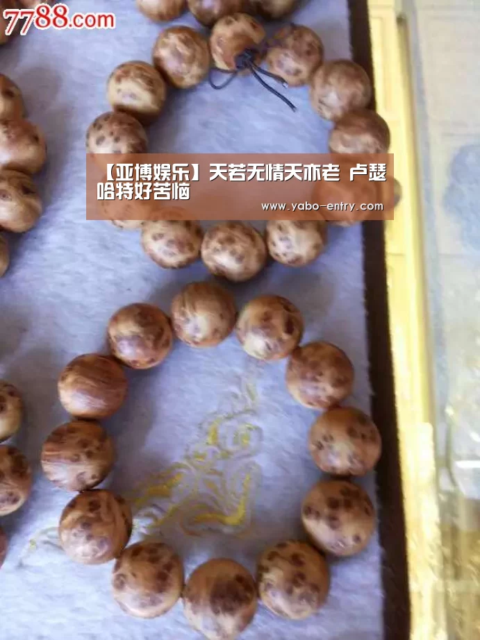亚博娱乐